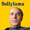 Sollylama artwork