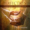 Perfection Through Correction Audio artwork