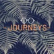 An Introduction to Journeys