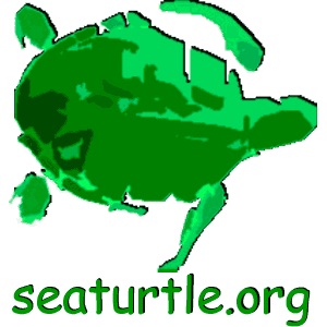 Sea Turtle Multimedia Guide