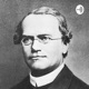 Leyes De Mendel
