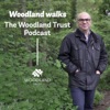 Woodland Walks - The Woodland Trust Podcast artwork