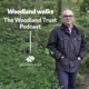 Woodland Walks - The Woodland Trust Podcast