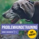 Problemhundetraining