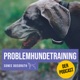Vermeide diese 5 Fehler bei der Hundeerziehung