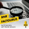 FactGurus | BNR artwork
