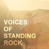 Voices Of Standing Rock artwork