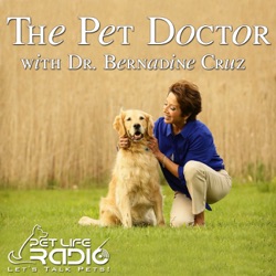 The Pet Doctor - Episode 301 No Longer Home Alone – Too Much of a Good Thing