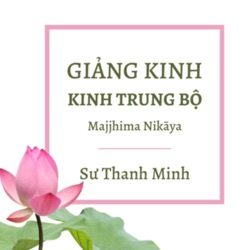 GIẢNG KINH VÀ HƯỚNG DẪN HÀNH THIỀN - SƯ THANH MINH