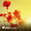 SBS Kurdish - SBS Kurdî artwork