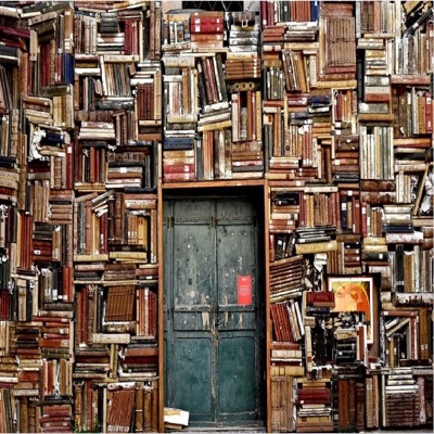 Lost in Citations Lost in Citations