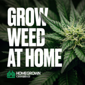 Grow Weed at Home with Homegrown Cannabis Co. - Derek LaRose