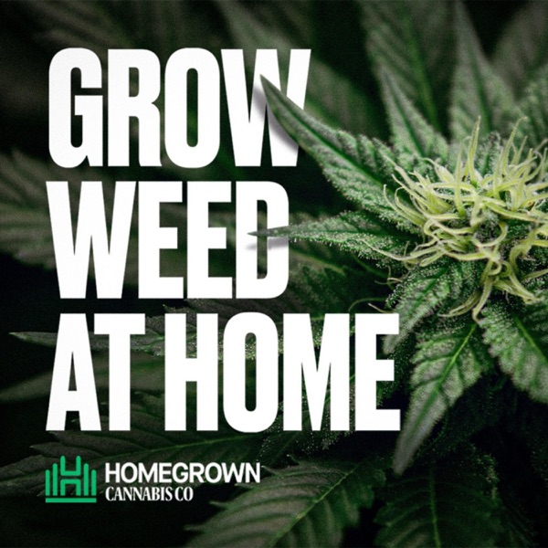 Grow Weed at Home with Homegrown Cannabis Co Artwork
