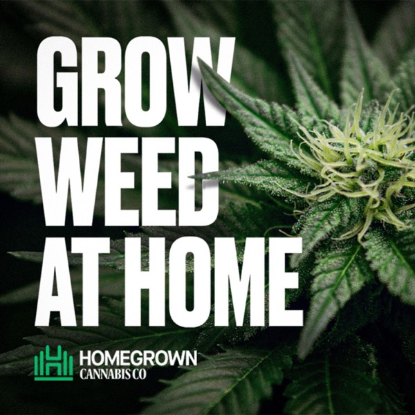 Grow Weed at Home with Homegrown Cannabis Co.