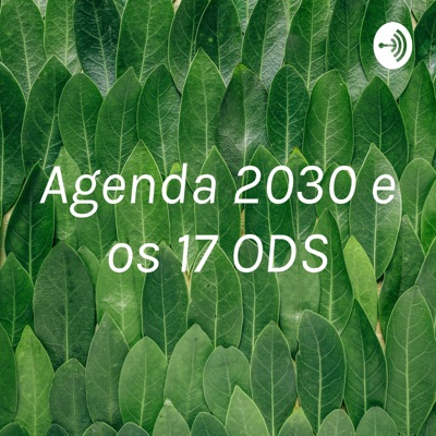 Agenda 2030 e os 17 ODS