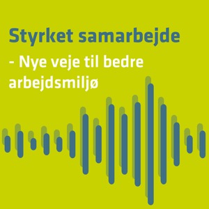 Styrket samarbejde - Nye veje til bedre arbejdsmiljø