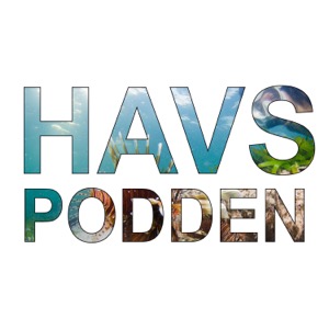 Havspodden