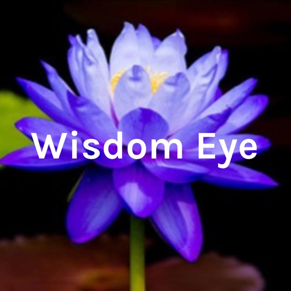 Wisdom Eye - Intro Talk Artwork