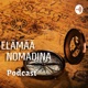 Nomadina Afrikassa podcast - Sambesissa alla auringon (osa 4)