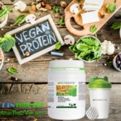 Protein Thực Vật