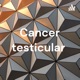 Cancer testicular 