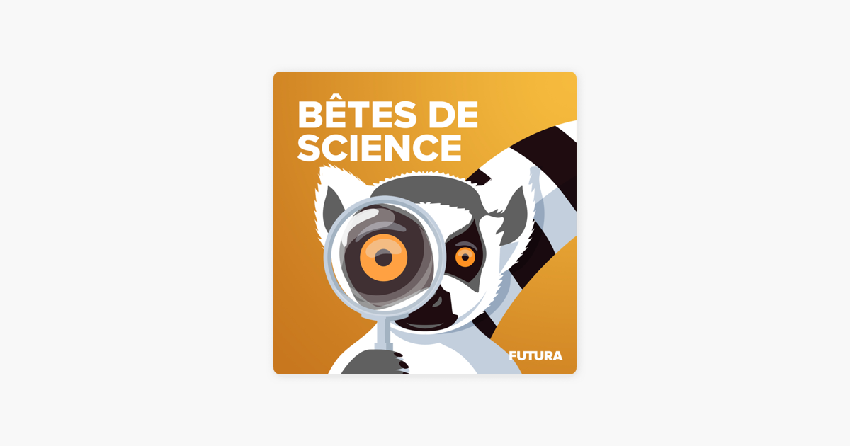 PODCAST. Sixième Science, épisode 66 : le langage des bébés animaux -  Sciences et Avenir