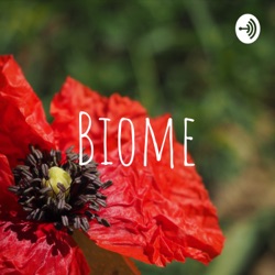 Les veilles de Biome - épisode 18 : une plante de 180 km