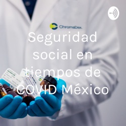 Seguridad social en tiempos de COVID México