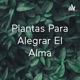 Estrés en las plantas- fisiología vegetal