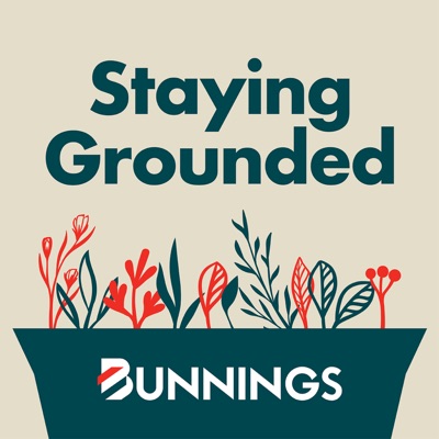 Staying Grounded Staying Grounded