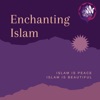 Enchanting Islam artwork