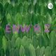 ENW R 2