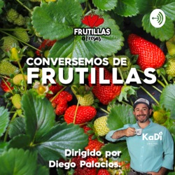Especial Frutillas en Osorno. Capitulo N°5
