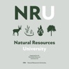 Natural Resources University artwork