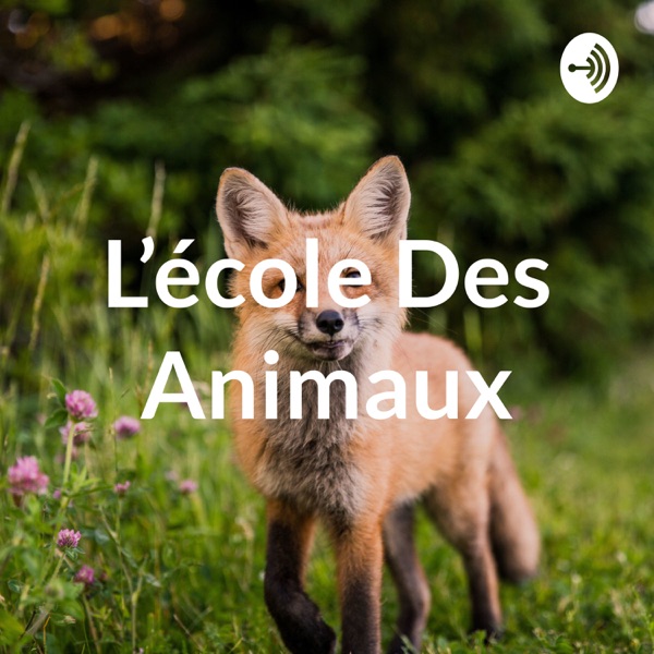 L'école Des Animaux