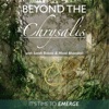 Beyond The Chrysalis  artwork