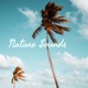 Florida Rain - Nature Sounds