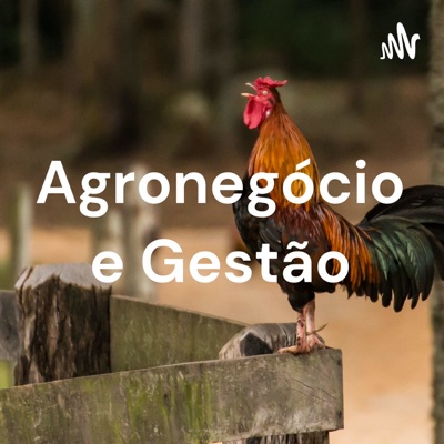 Agronegócio e Gestão