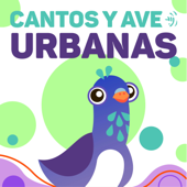 Cantos y Aves Urbanas - Diana Sofía Salas Chalapud