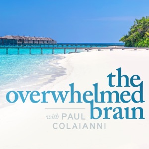 The Overwhelmed Brain