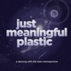 Just Meaningful Plastic: A DWTS Retrospective