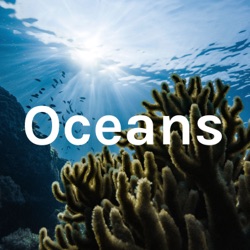 Oceans Episode 4 - Octopuses