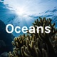 Oceans Episode 5 - Tide Pooling