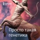 Эмир Кустурица: общий предок с русским писателем, папа тоже любил Россию