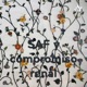 SAF y compromiso renal