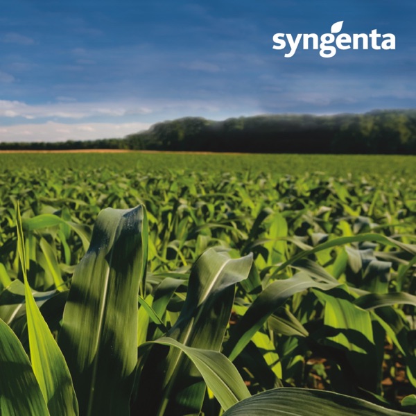 Syngenta