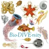 Bio-DIVE-rsity artwork