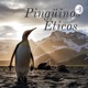 Pingüinos Éticos 