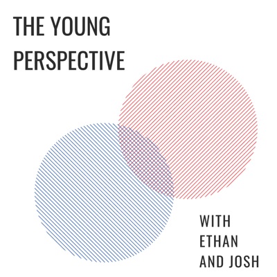 The Young Perspective The Young Perspective