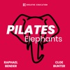 Pilates Elephants artwork